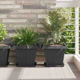  Kvadratna saksija za cvijeće 6 pcs Crna 33 x 33 x 26 cm - Crna 33 x 33 x 26 cm 6 | shoptok.hr