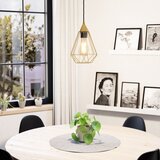 Eglo 43681 - visilica na sajli tarbes 1xE27/60W/230V prečnik 17,5 cm | Eponuda.com