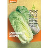 ReinSaat Solata cikorija "Zuckerhut" Cene