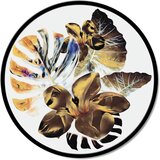 Pintdecor Zidni ukras Composizione | shoptok.hr