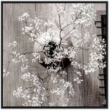  Slika - Dried Flowers (1 Part) Square 40x40 | shoptok.hr