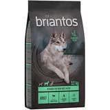 briantos - BREZ ŽIT suha pasja hrana 2 x 12 kg po posebni ceni! - Adult jagnjetina & krompir - recept BREZ ŽIT