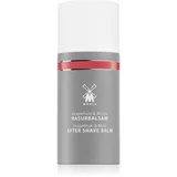 Aftershave Balm balzam poslije brijanja za muškarce 100 ml