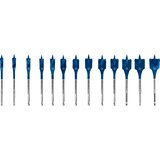 Bosch expert 13-delni set pljosnatih burgija za glodanje 10-32 mm