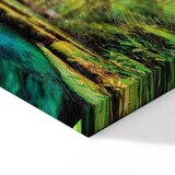  Slika - A Jewel of Nature 135x45 Premium Print | shoptok.hr