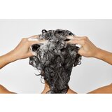 Bumble and Bumble Seaweed Shampoo šampon za kovrčavu kosu s ekstraktima morskih trava 250 ml | shoptok.hr