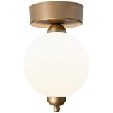 Squid Lighting LED stropna svjetiljka u zlatnoj boji sa staklenim sjenilom ø 15 cm Model-1 – Cijene