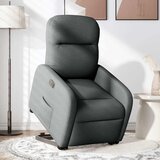 Maison Chic Električni naslanjač - Relax naslanjač s funkcijo vstajanja temno siv, (22061881) Cene
