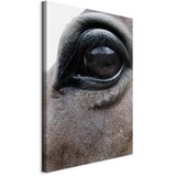  Slika - Honest Eyes (1 Part) Vertical 60x90 Na talijanskom platnu | shoptok.hr