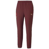 Puma Hlače Neymar Diamond Rdeča Cene