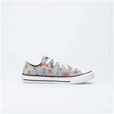 Converse Nizke superge Chuck Taylor All Star A Bugs World Siva | Shoptok.si