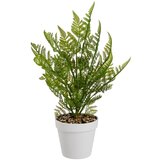 Casa Selección Umetna praprot (višina 45 cm) – | Shoptok.si