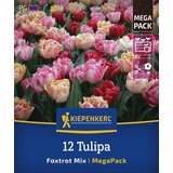 KIEPENKERL Mega pakiranje zgodnjih tulipanov "Foxtrot Mix" - 12 k. Cene