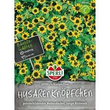 SPERLI Sanvitalia "Sperli's Knöpfchen" Cene