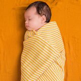 DockATot set povijalnih pleničk golden stripe / pumpkin spice | Shoptok.si