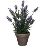MICA SIVKA MODRA V SIVEM STAN LONCU D11,5CM - H33XD20CM Cene