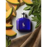 Polo Ralph Lauren Polo Blue toaletna voda 125 ml za moške | Shoptok.si