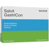 Salvus Salvit GastriCon 240mg u