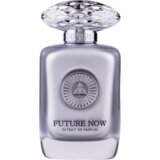 Auraa Desire Future Now Extrait de Parfum 100 ml | shoptok.hr