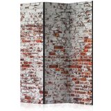  Paravan u 3 dijela - Echo of Time [Room Dividers] 135x172 | shoptok.hr