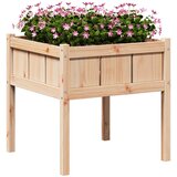  Vrtna saksija Priroda 70 x 70 x 70 cm Čvrsto borovo drvo | shoptok.hr