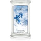Kringle Candle Winter Iris dišeča sveča 624 g | Shoptok.si