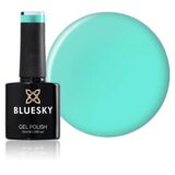  BLUESKY PEPPERMINT CANDY TRAJNI LAK 10ML | Eponuda.ba