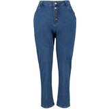 Trendyol Curve Plus Size Jeans - Blue - Mom Cene