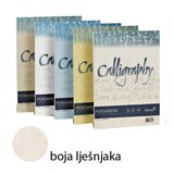  Papir Pergamena Calligraphy, A4 190 g/m2, boja lješnjaka 50/1 | shoptok.hr