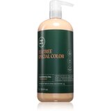 Paul Mitchell Tea Tree Special Color Conditioner regenerator za tretman za obojenu kosu 1000 ml Cijene