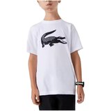 Lacoste majice s kratkimi rokavi - Bela | Shoptok.si