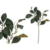  MAGNOLIJA 70CM PVC | Eponuda.ba