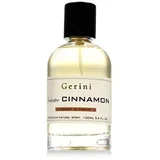 Seductive Cinnamon 100 ml parfumski ekstrakt unisex