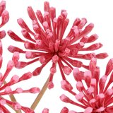 Mömax Umetna Roža Heracleum I -Paz- | Shoptok.si