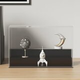 vidaXL Kutija za izlaganje prozirna 25 x 12 x 16 cm akrilna | shoptok.hr