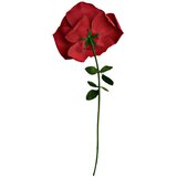  XXL vrtnica | Shoptok.si