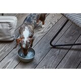 MiaCara silikonska zložljiva posoda za na pot za pse ø 15,5 cm piega slate | Shoptok.si