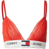 Tommy Jeans Grudnjak siva / crvena / crna / bijela