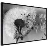  Poster - Dandelion in the Wind 45x30 Cijene