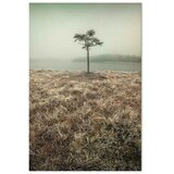  Slika - At the Lake Shore (1 Part) Vertical 40x60 Premium Print | shoptok.hr