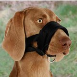 Olimp Sport Traka Za Njušku 28-38 cm | ePonuda.com