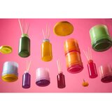 Paddywax Minty Verde aroma difuzor s polnilom 94 ml | Shoptok.si