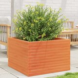 Maison Chic Vrtno cvetlično korito - Cvetlični Lonec voščeno rjavo 70x70x46 cm trdna borovina, (21788769) | Shoptok.si