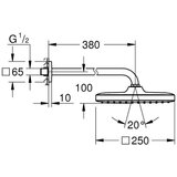 Grohe 26682000 tempesta 250 cube nadglavna prha | Shoptok.si