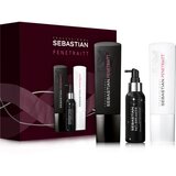 Sebastian Professional Penetraitt darilni set (za poškodovane in kemično obdelane lase) Cene