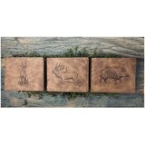 Rypo denarnica - divji prašič | Shoptok.si