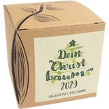 naturkraftwerk Set za gojenje tvoje Božično drevo 2026 | Shoptok.si