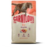 Carnilove Dog True Fresh Adult, briketi - govedina 4 kg | Shoptok.si