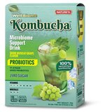 Global Natures Pharma well Biome Kombucha Muskat grožđe 75 g, 15 kesica cene