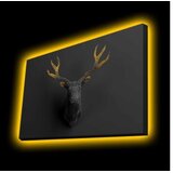 Wallity Zidna slika sa LED osvetljenjem 4570KTLGDACT - 007, 45x70 cm | Eponuda.ba